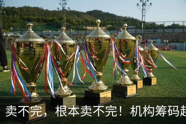 卖不完，根本卖不完！机构筹码越来越多