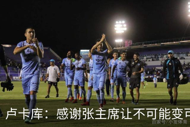 卢卡库：感谢张主席让不可能变可能 会全力帮国米