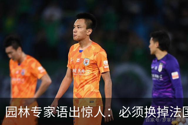 园林专家语出惊人：必须换掉法国梧桐，有很多中国好树被“雪藏”