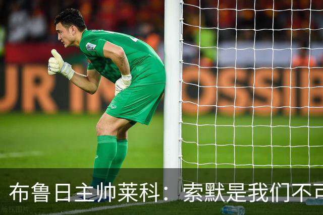 布鲁日主帅莱科：索默是我们不可或缺的引援