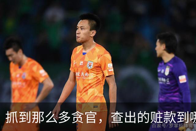 抓到那么多贪官，查出的赃款到哪去了？最后跟老百姓有关系吗？