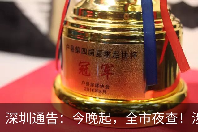 深圳通告：今晚起，全市夜查！涉城中村、宾馆饭店、商市场、歌舞娱乐等场所