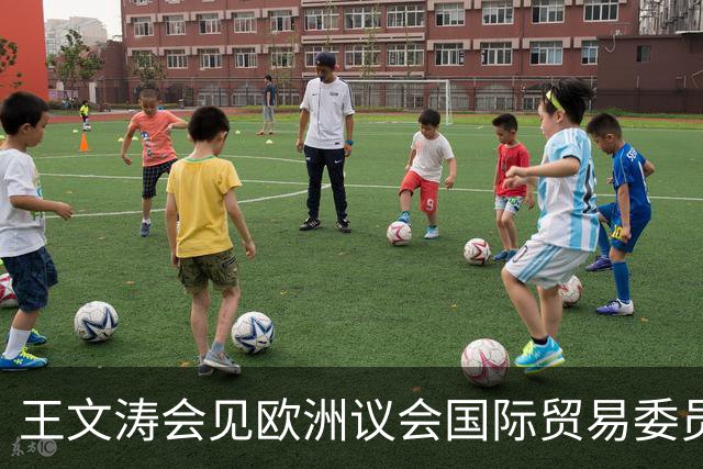 王文涛会见欧洲议会国际贸易委员会主席朗格：中国不是欧盟问题的根源，而是解决问题的伙伴，希望欧方与中方相向而行